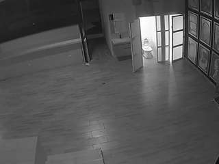 voyeurcam casa salsa panoramic